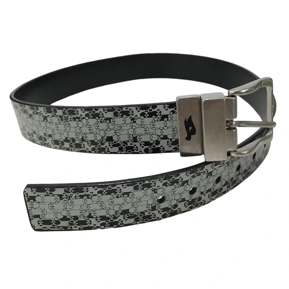 Tony Hawk Youth Skateboard Graphic Reversible Belt
